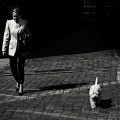 IMG_4575-Edit.jpg